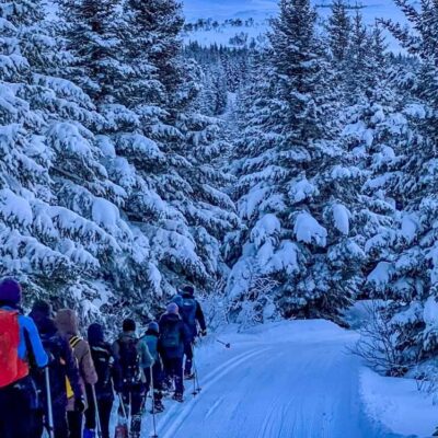 Half day snowshoe adventure 6
